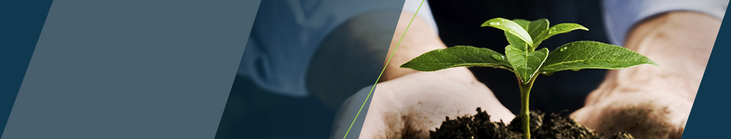 Hands holding dirt with young plant